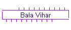 Bala Vihar
